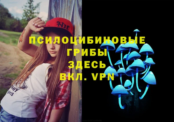 винт Алексеевка