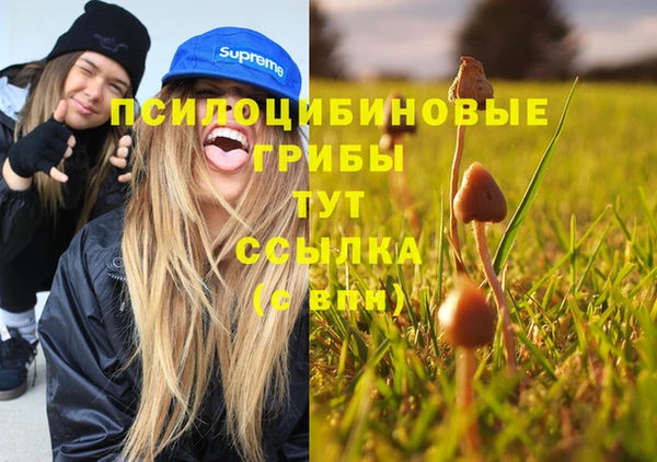 винт Алексеевка